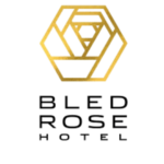 Gold hexagon logo with an inner geometric design on a black background